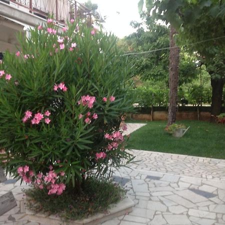 Vila Alma โปเรช ภายนอก รูปภาพ