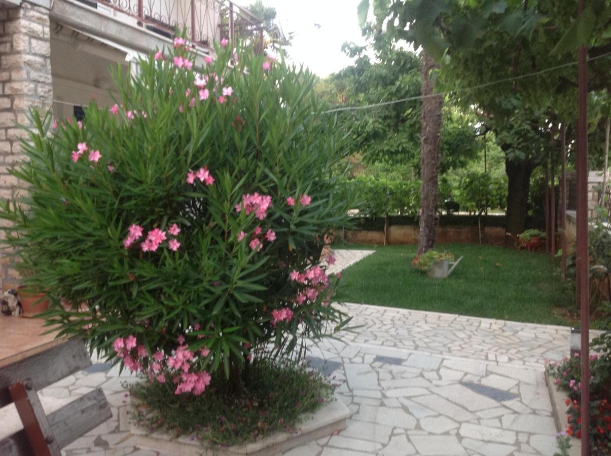 Vila Alma โปเรช ภายนอก รูปภาพ